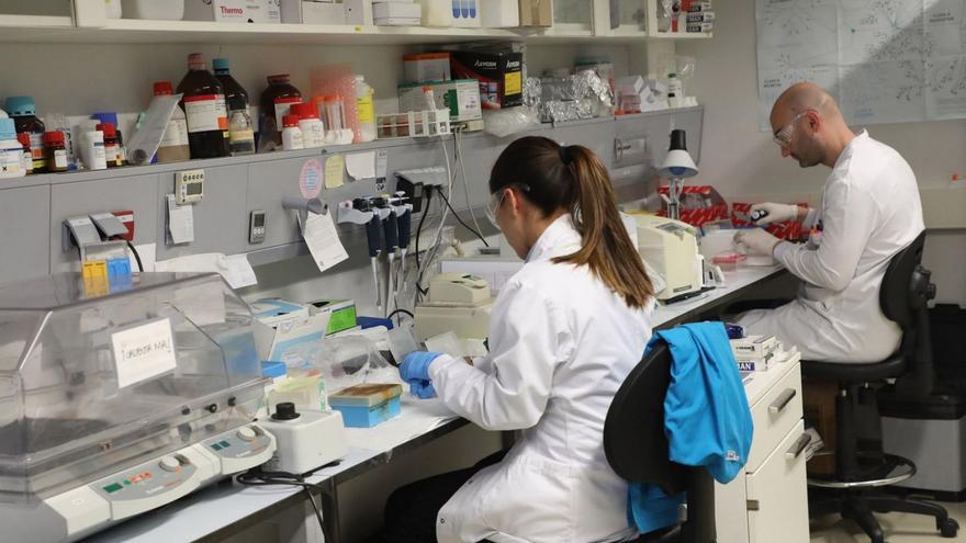 Dous investigadores realizando traballos nun laboratorio da Universidade de Santiago