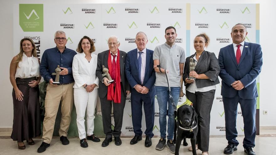 Premio para Xabat, el primer perro guía del mundo que ayuda a un vecino de Teruel ciego y sin manos