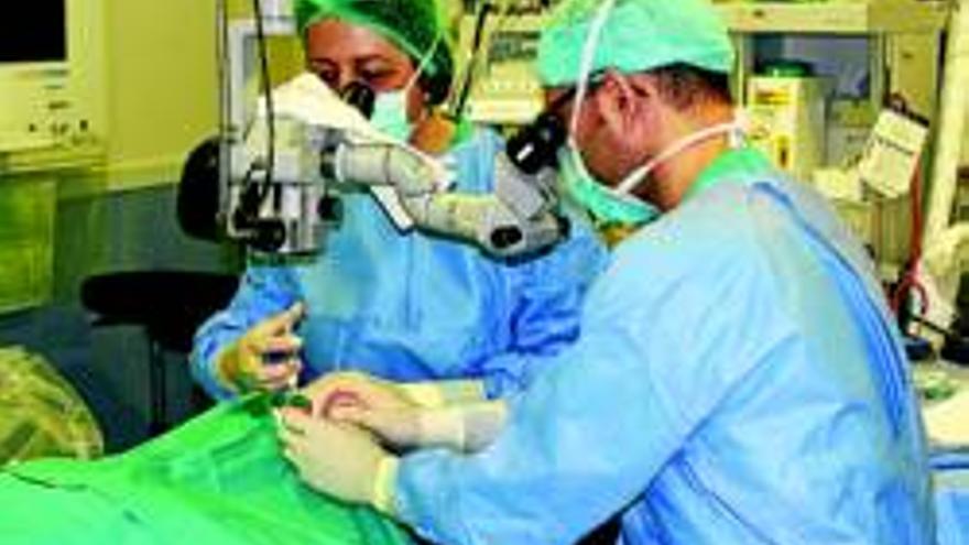 Badajoz revoluciona los trasplantes de córnea en la región