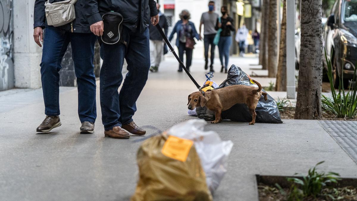 Barcelona 25.05.2021. nueva recogida de basuras puerta a puerta en el barrio de Sant Andreu. En  la imagen, bolsas de basuras tiradas en la calle Gran de Sant Andreu. Foto Laura Guerrero