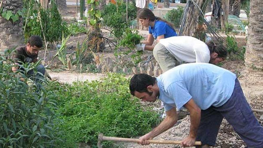 Huerto ecológico