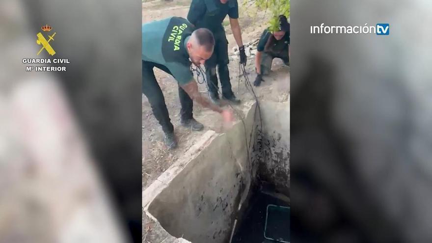 Escucha un ruido extraño en el pozo de su casa en Aspe y lo que encuentra dentro moviliza a la Guardia Civil