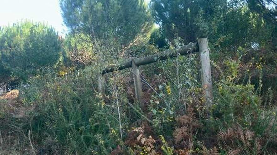 Estado en el que se encuentra el parque forestal. // R.V.