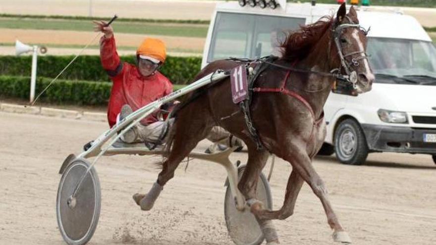 Bonnie Candence en un momento de la carrera que ha supuesto su debut.