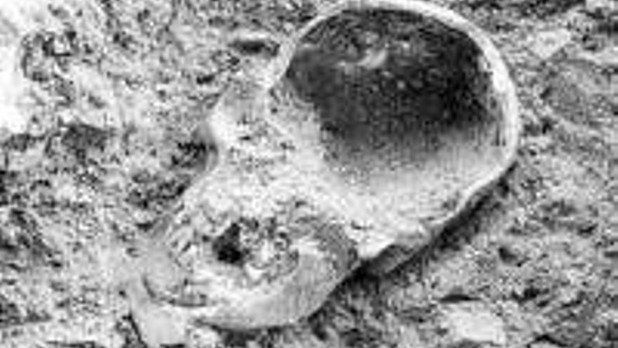 Hallan un cráneo en los muros de la antigua iglesia Santa María