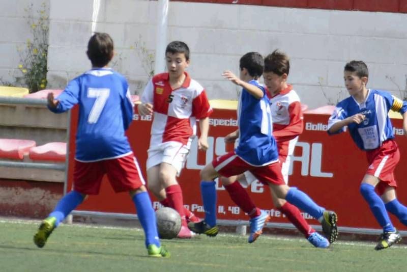 FÚTBOL: Hernán Cortés - San Gregorio (1ª Alevín grupo 2)