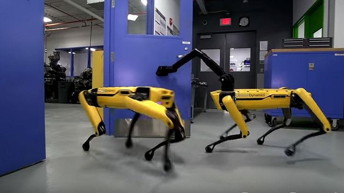 Boston Dynamics ha llançat una nova versió del seu gos que col·labora amb altres gossos per obrir portes i escapar.