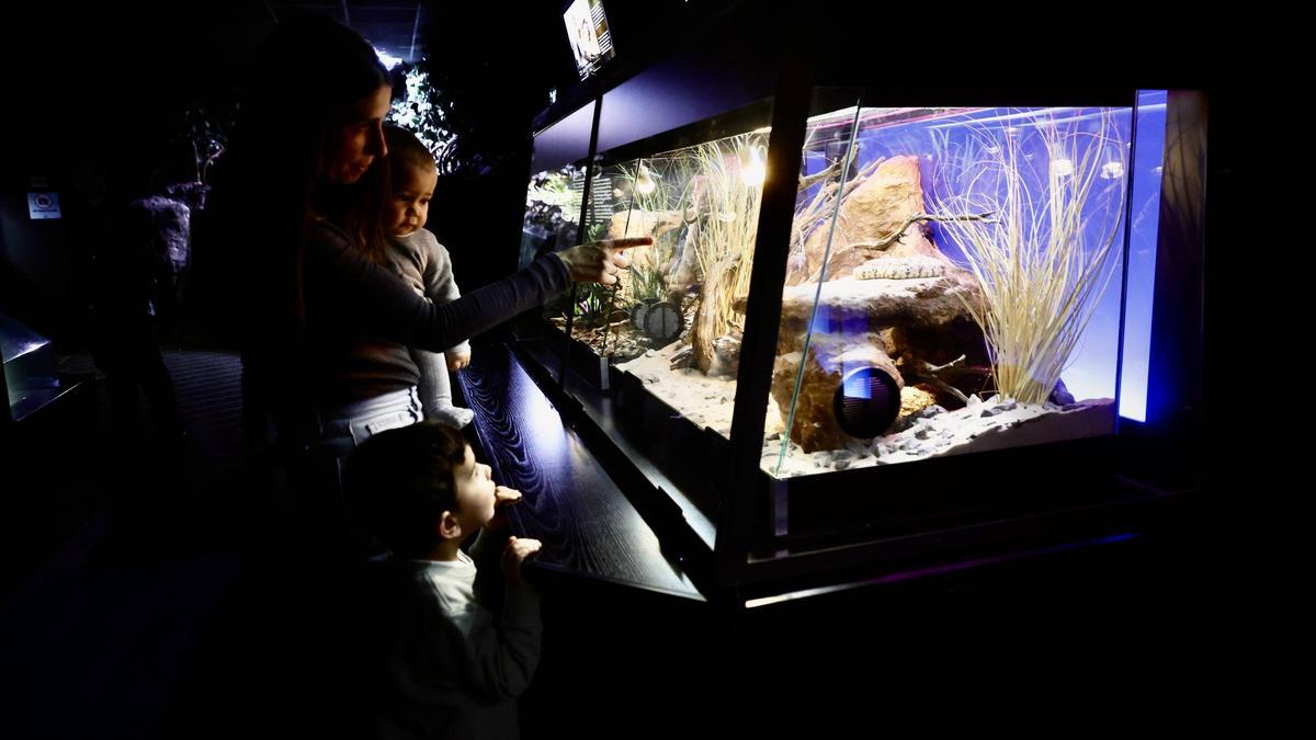 Inauguración de la exposición “Veneno” en el Bioparc Acuario de Gijón