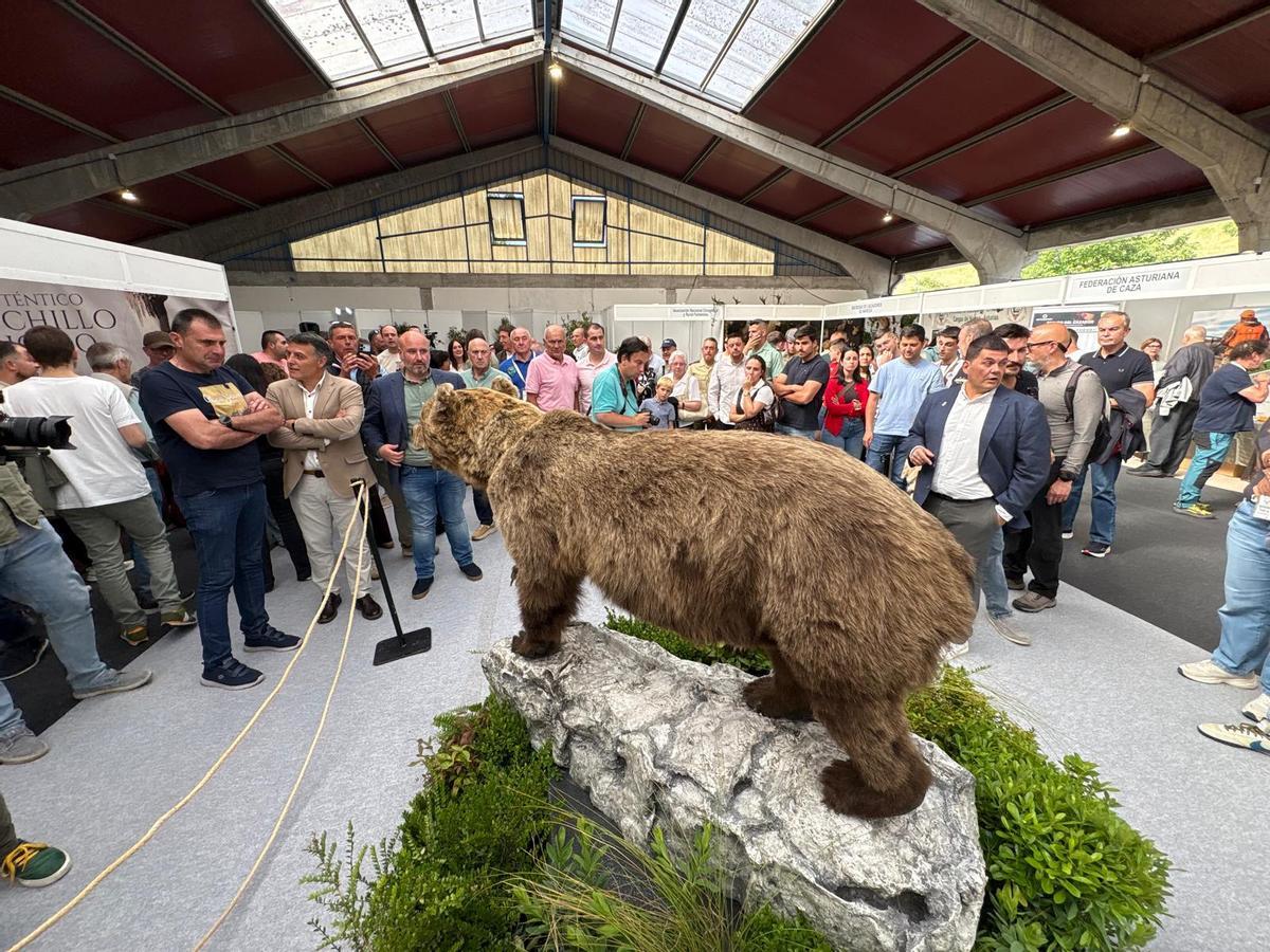 Narcenatur abre sus puertas con la presentación del “oso rubio” y actividades para escolares
