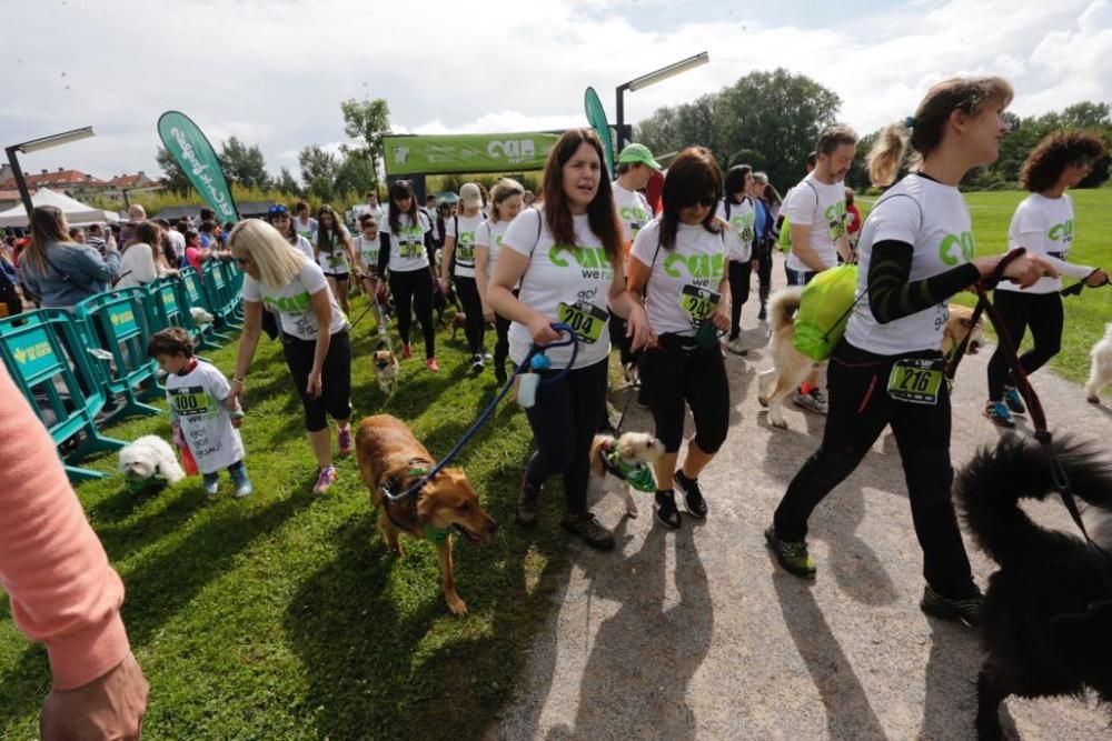 "Can We Run" reúne a más de 400 perros y corredores en el Parque Fluvial de Viesques, en Gijón.