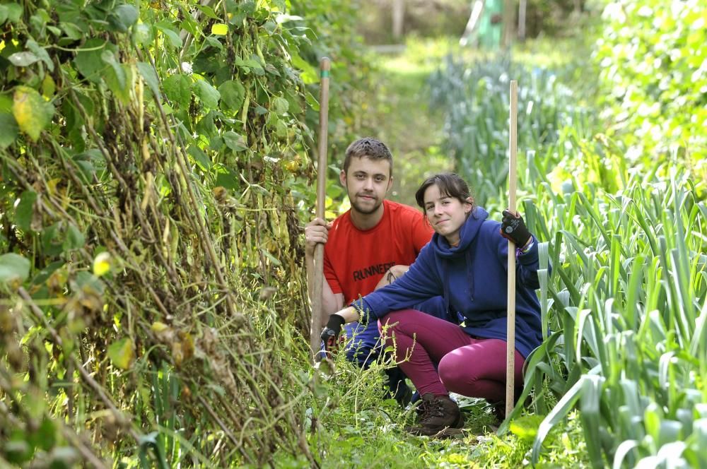 Curso de agricultura ecológica en Langreo