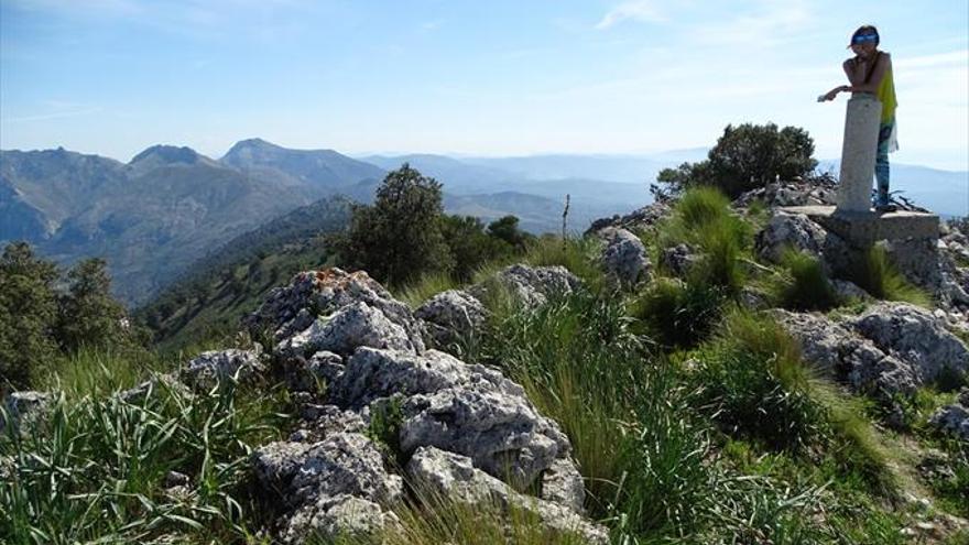 Sierra alta, en Rute