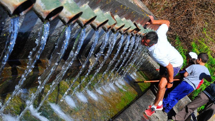 Un hombre bebe en unos chorros de agua en el municipio de La Guancha.