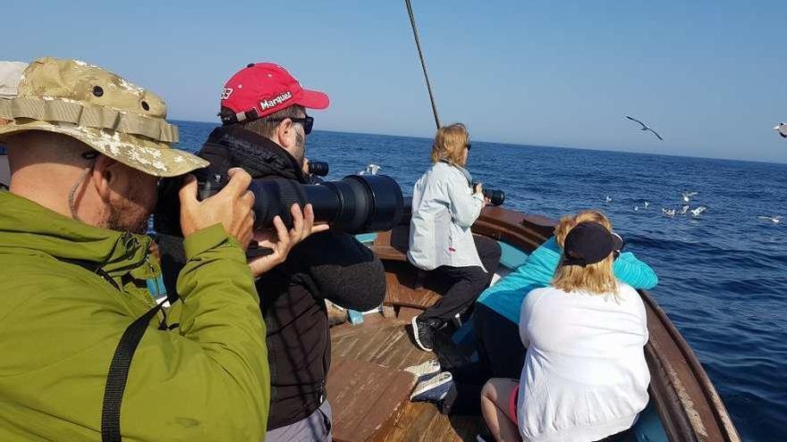 Observación de aves a bordo del &quot;Chasula&quot;, en algún lugar del Atlántico a doce millas de las Cíes. // FdV