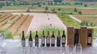 Una ruta por 10 bodegas para celebrar los 40 años de la DO Ribera del Duero