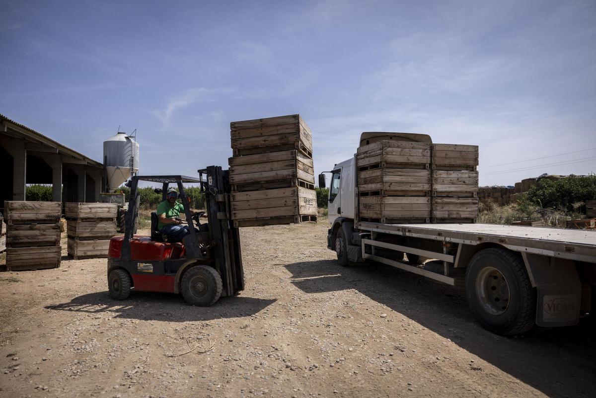 Un trabajador del campo aragonés, durante su jornada laboral.
