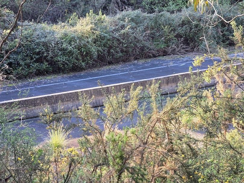 Los tramos de carretera del nudo de enlace de Curro-Meis semejan el escenario de una película de ciencia ficción en una época postpandemia.