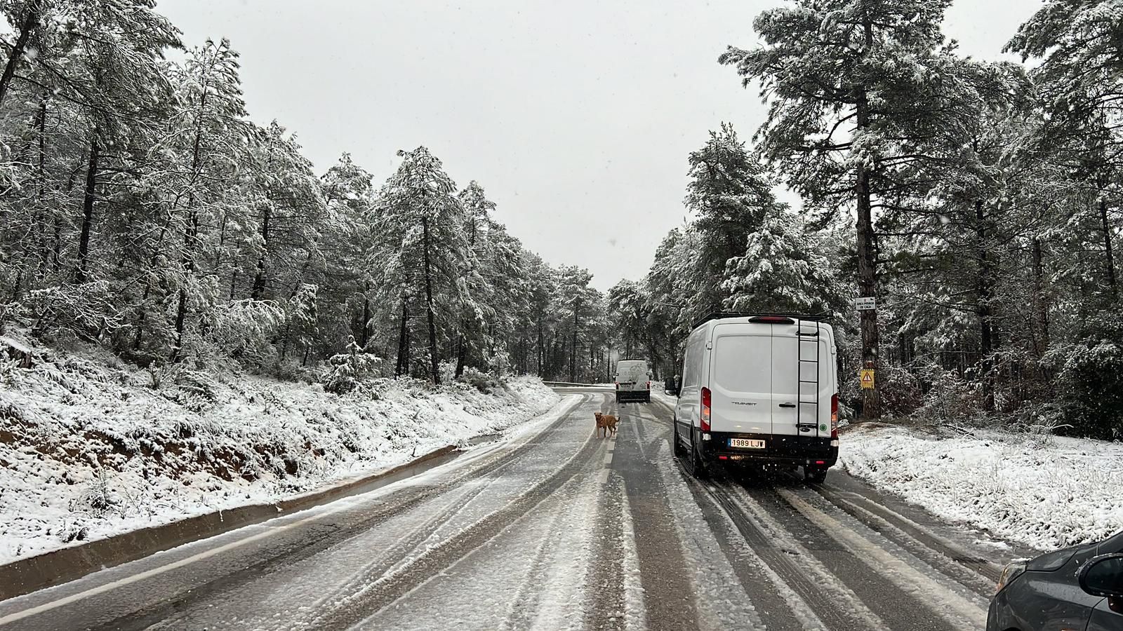 La nevada a Santa Maria d'Oló