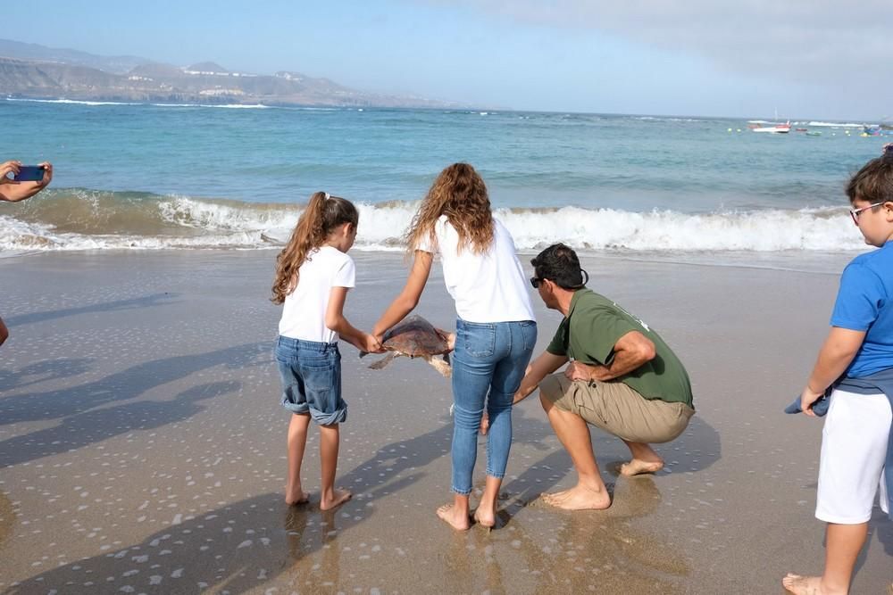 Suelta de una tortuga boba en Las Canteras