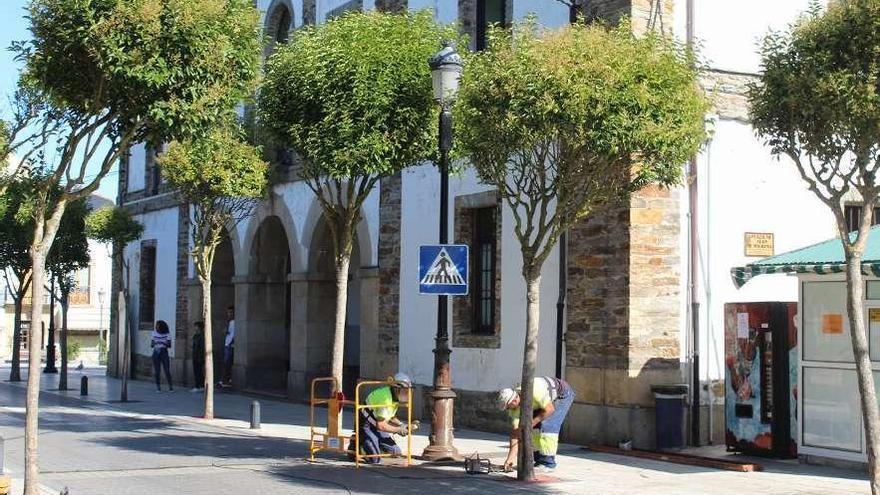 Operarios trabajando en las farolas del centro de la villa.