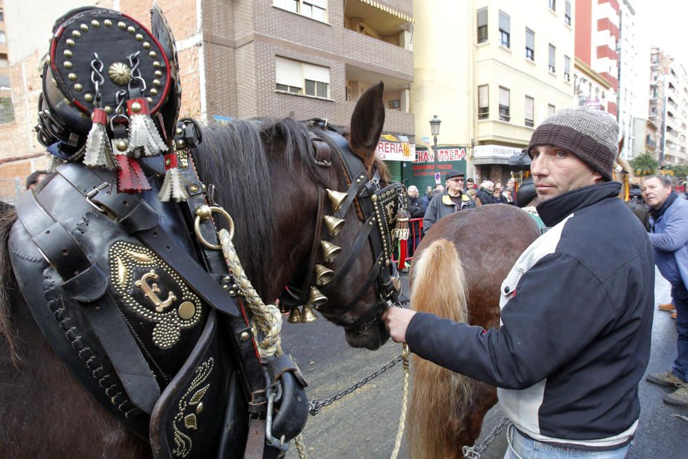 Sant Antoni en Valencia 2017