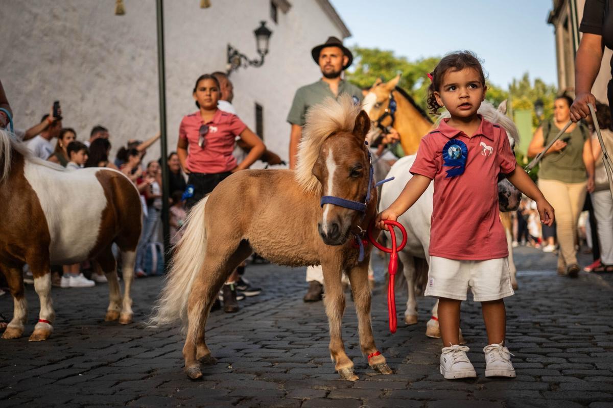 Noche de los Burros en La Laguna