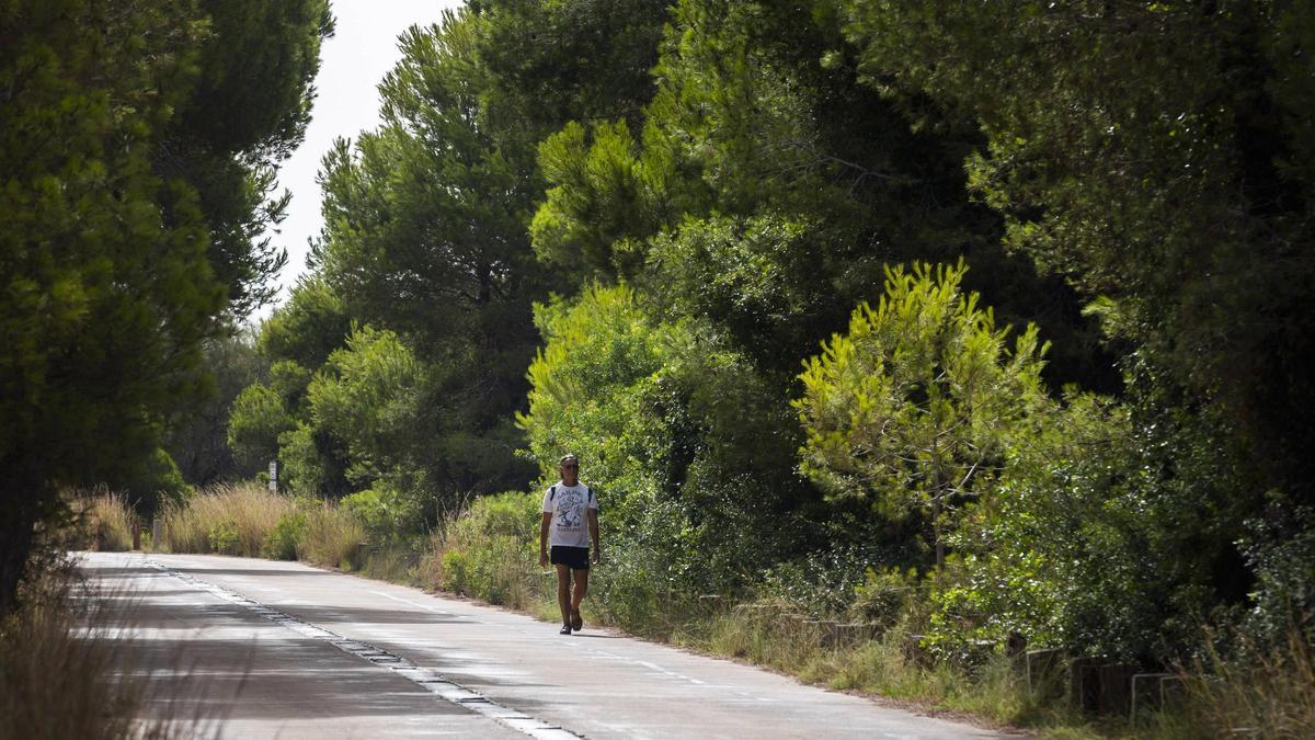 Imagen de la Devesa de València, pulmón verde de la ciudad.