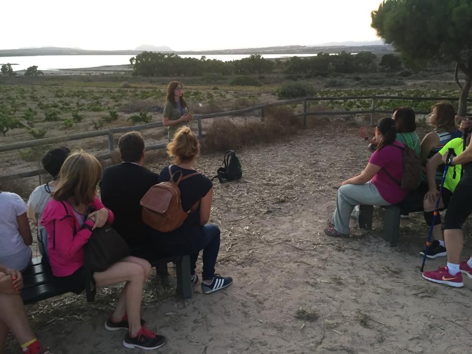 Ruta nocturna por el Parque Natural de Torrevieja