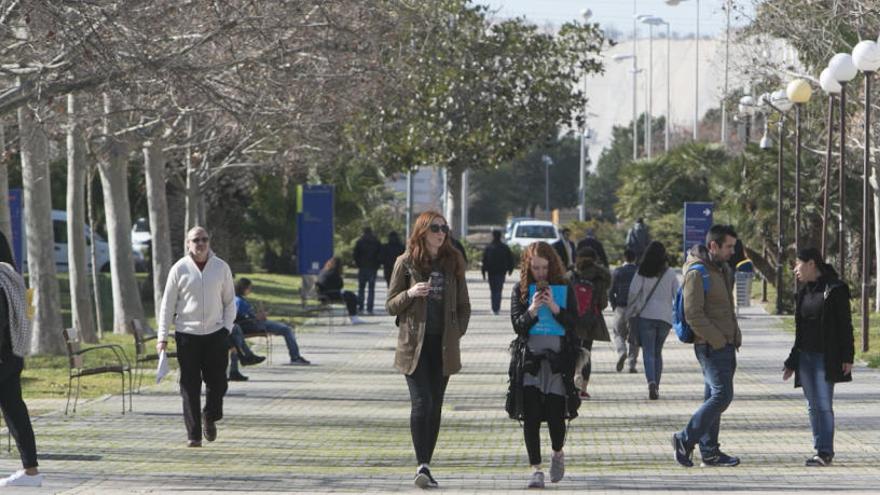 Las universidades de Elche y Alicante se sitúan entre las diez mejores de España