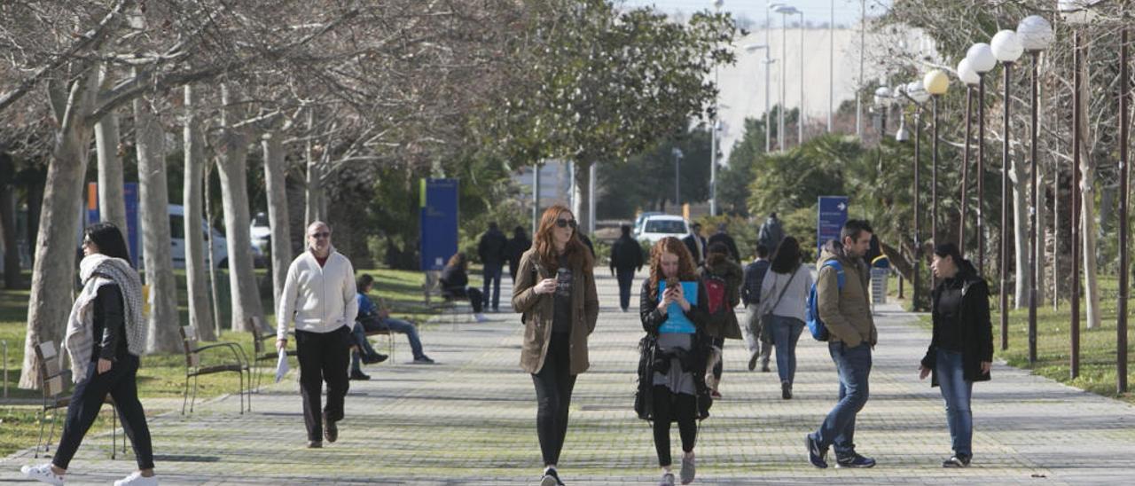 Las universidades de Elche y Alicante se sitúan entre las diez mejores de España