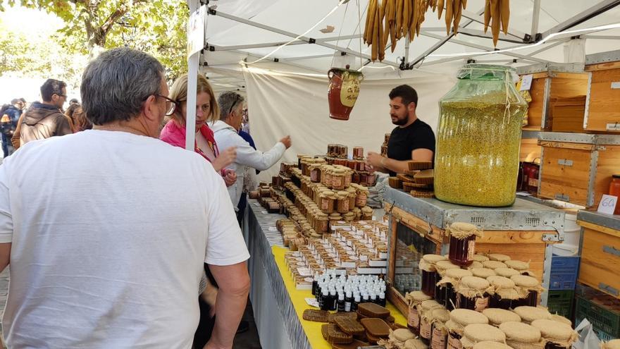 Todas las fiestas, &#039;fires&#039; y mercadillos de esta semana en Mallorca