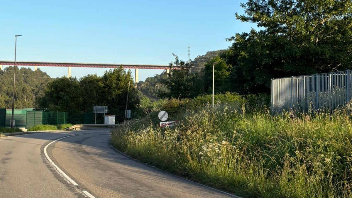 Maleza en los márgenes de la carretera autonómica AS-17 a su paso por Los Campos en dirección a La Consolación.