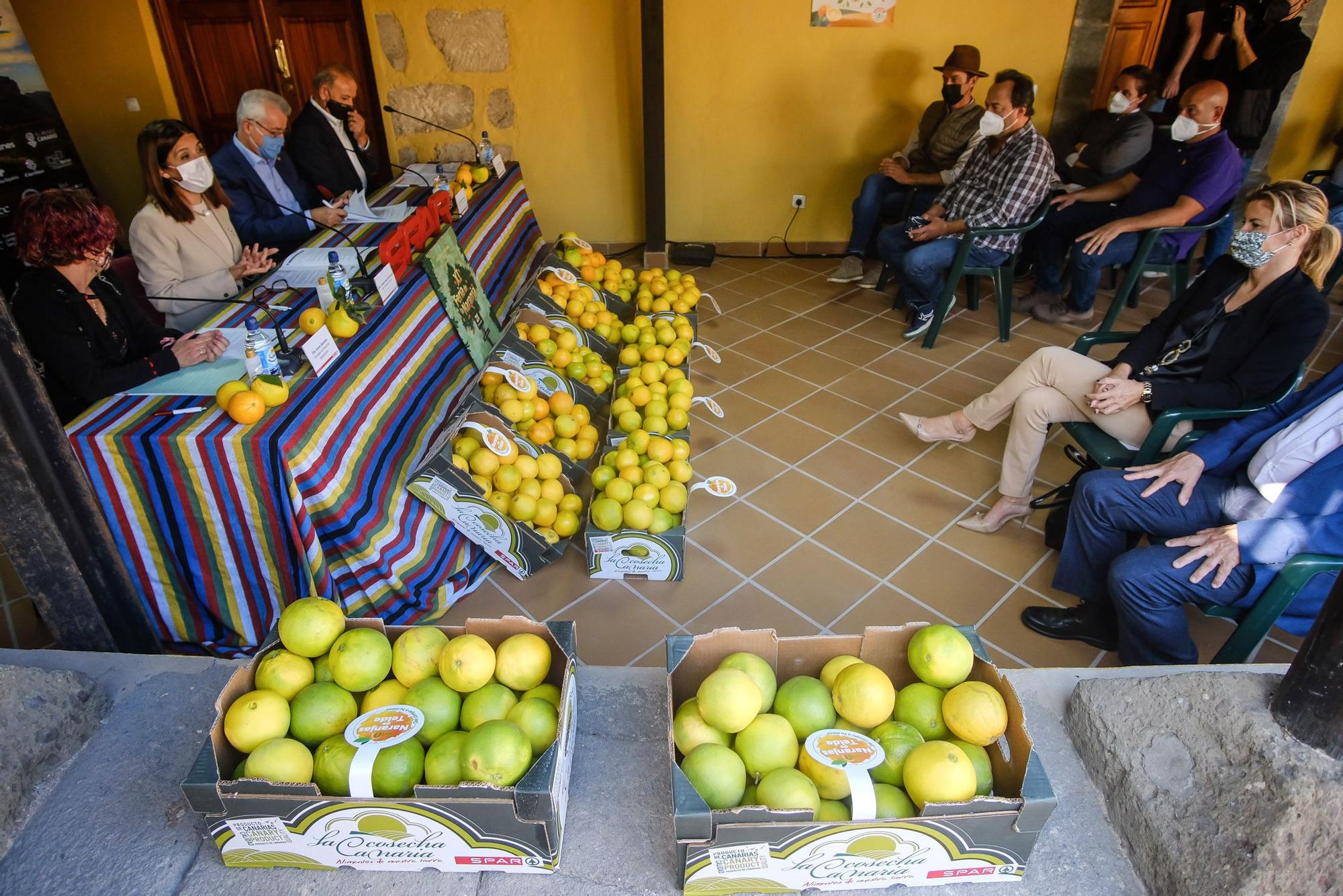 Spar venderá en sus tiendas de Gran Canaria naranjas del municipio de Telde