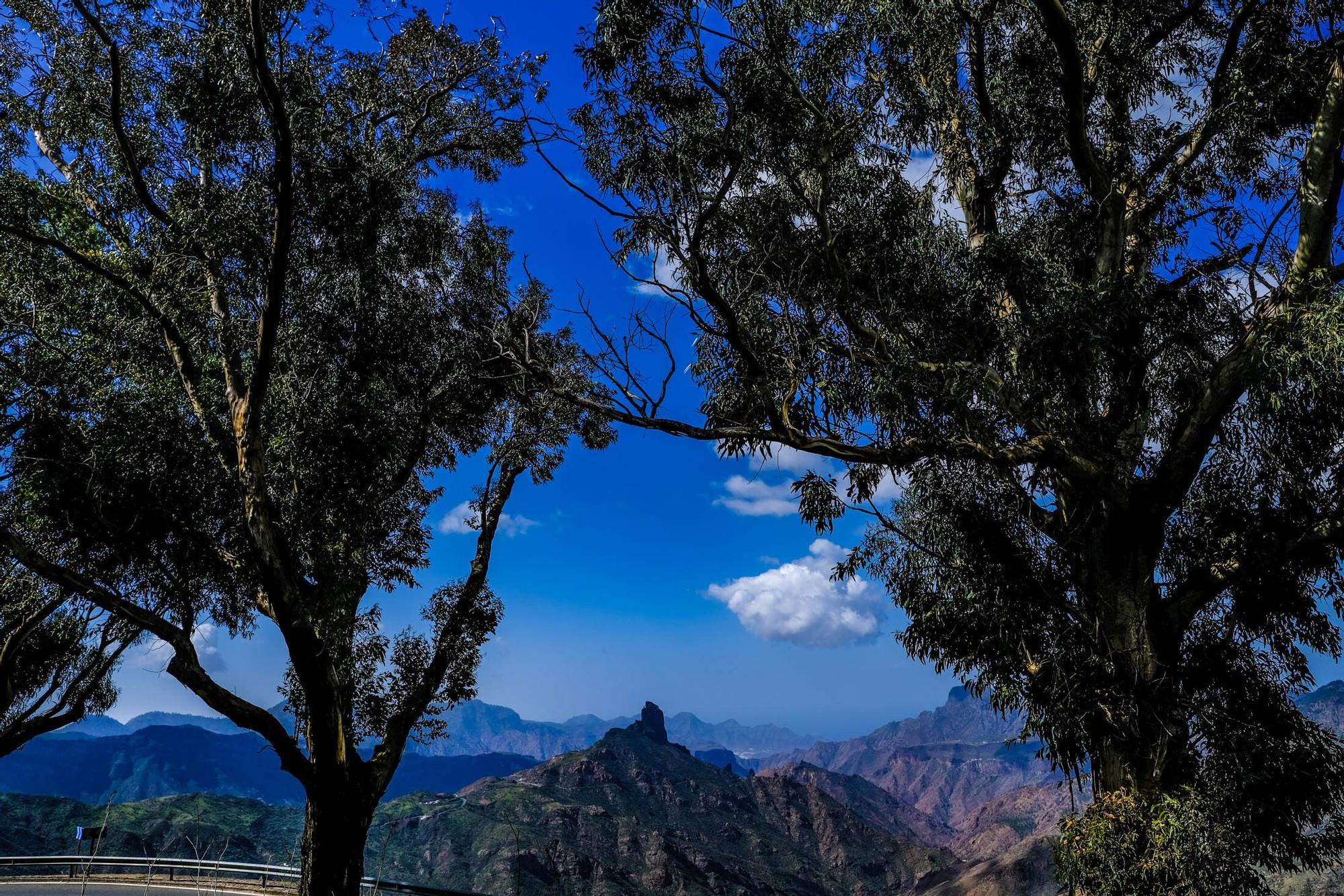 El tiempo en Gran Canaria (06/02/2023)