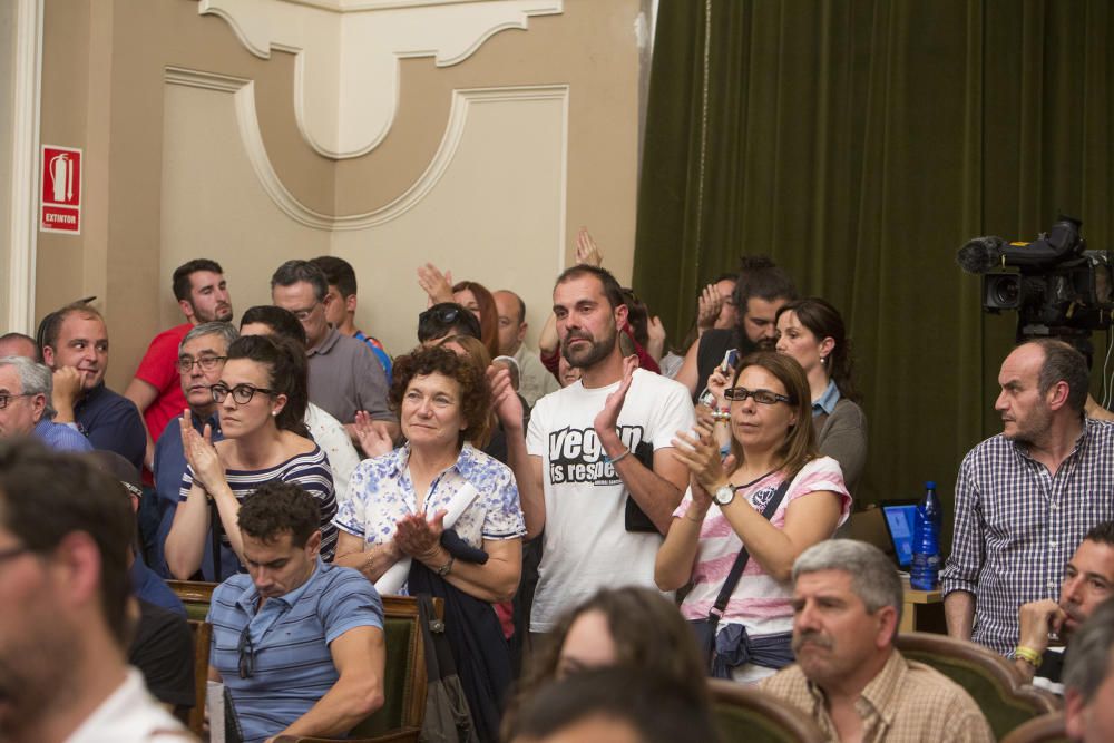 Bronca taurina en el pleno de Castelló