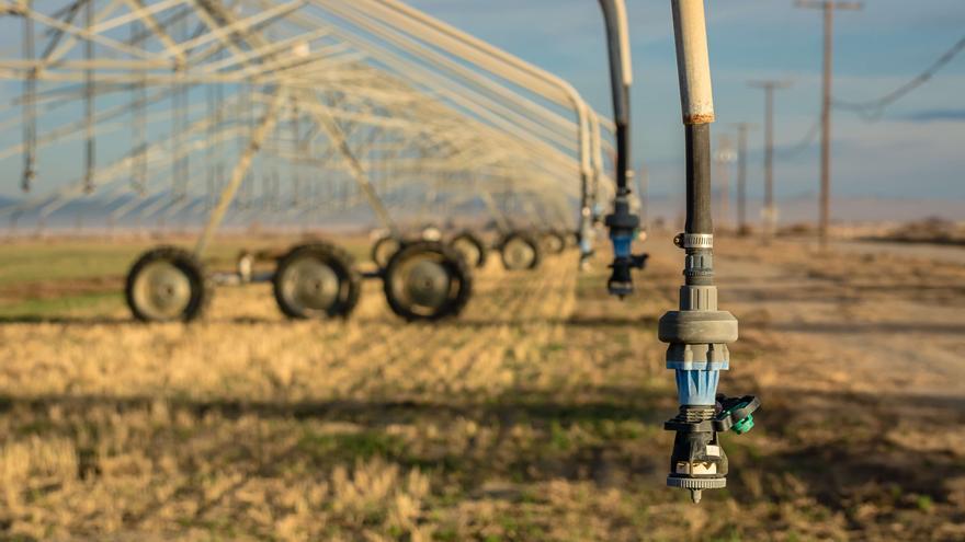 El sindicato de regantes del trasvase Tajo-Segura denuncia el abuso que sufren los agricultores