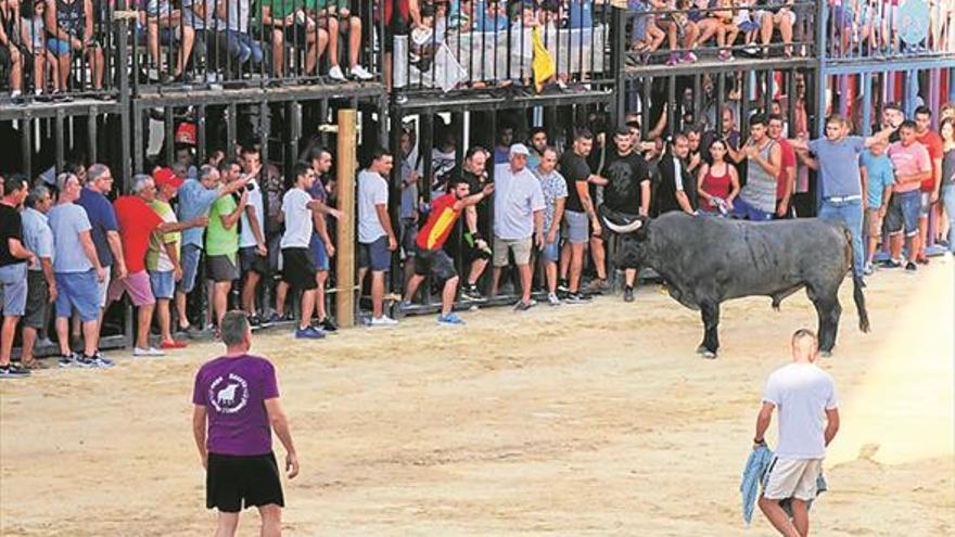 El programa taurino incluye cuatro toros cerriles y entradas de vacas