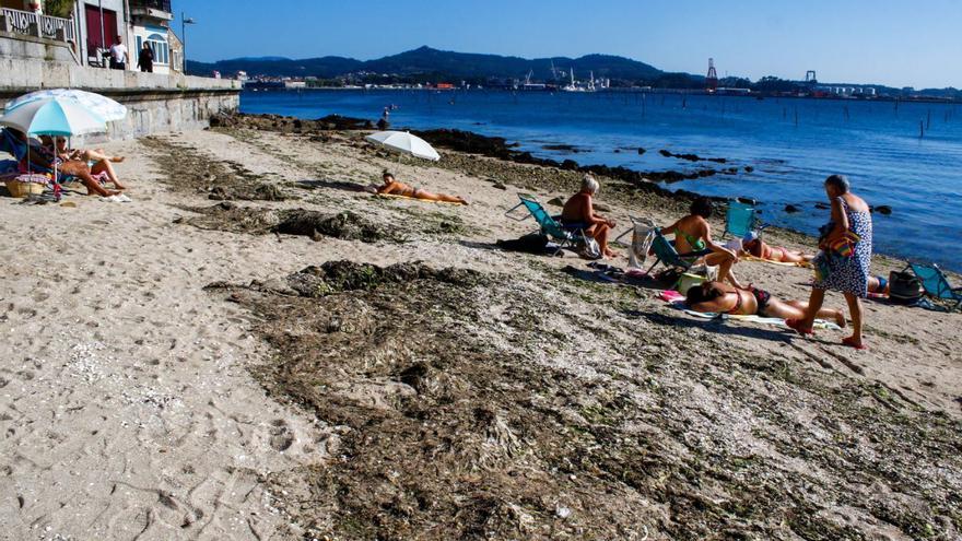 Invasión de algas en la playa carrilexa de Portugalete