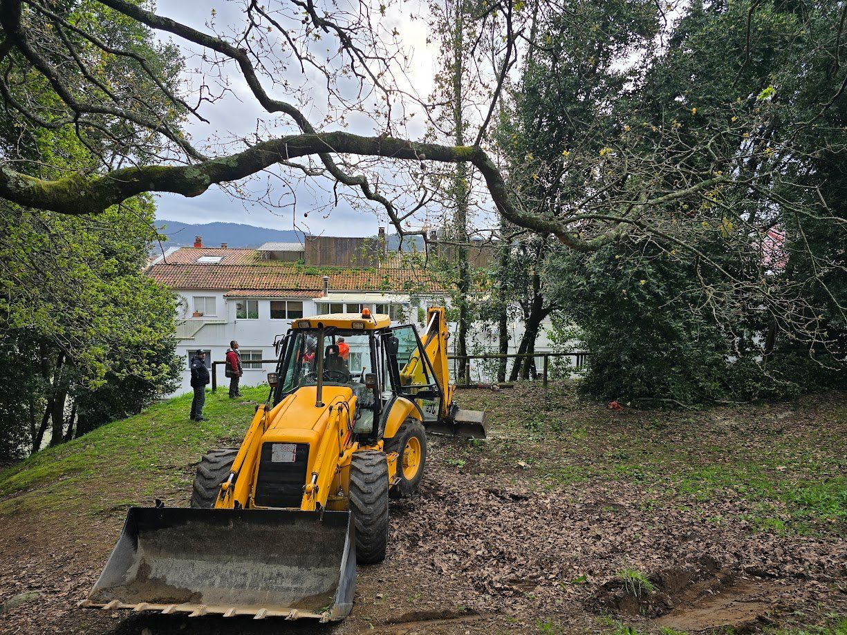 La tala de árboles en el Parque Valdés Bermejo para garantizar la seguridad ciudadana.