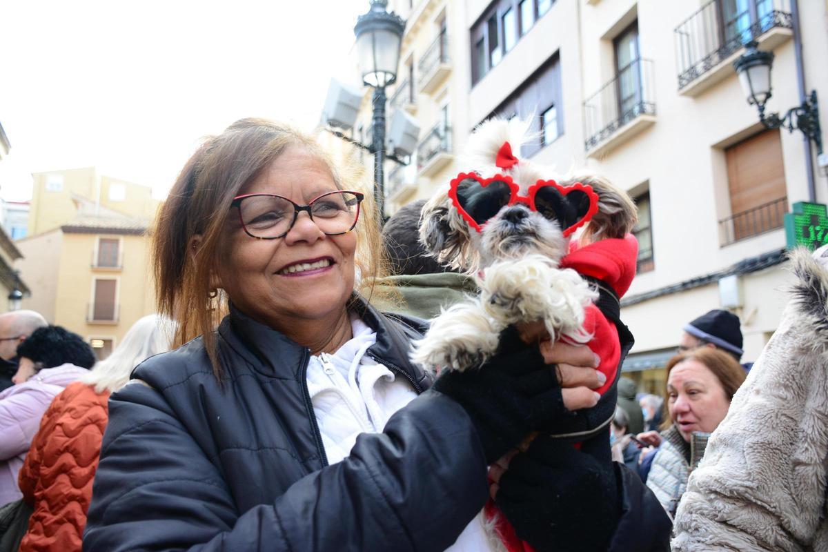 En imágenes | Bendición de los animales por San Antón en la iglesia de San Pablo