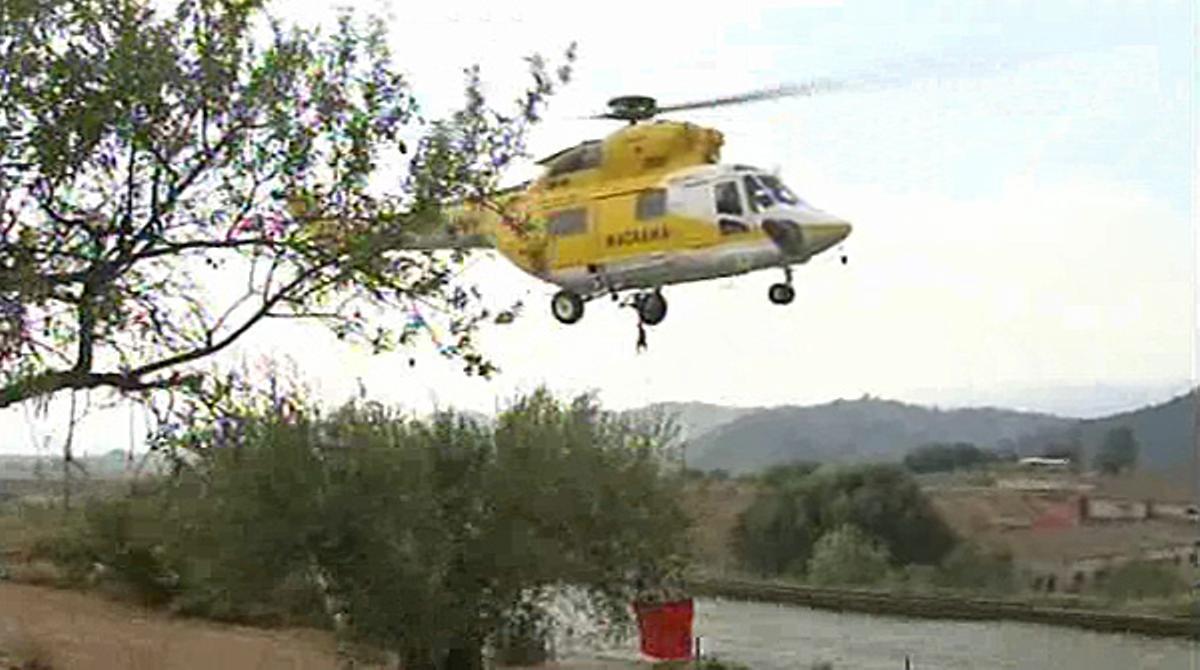 L’incendi ha calcinat completament la zona de Pallars.