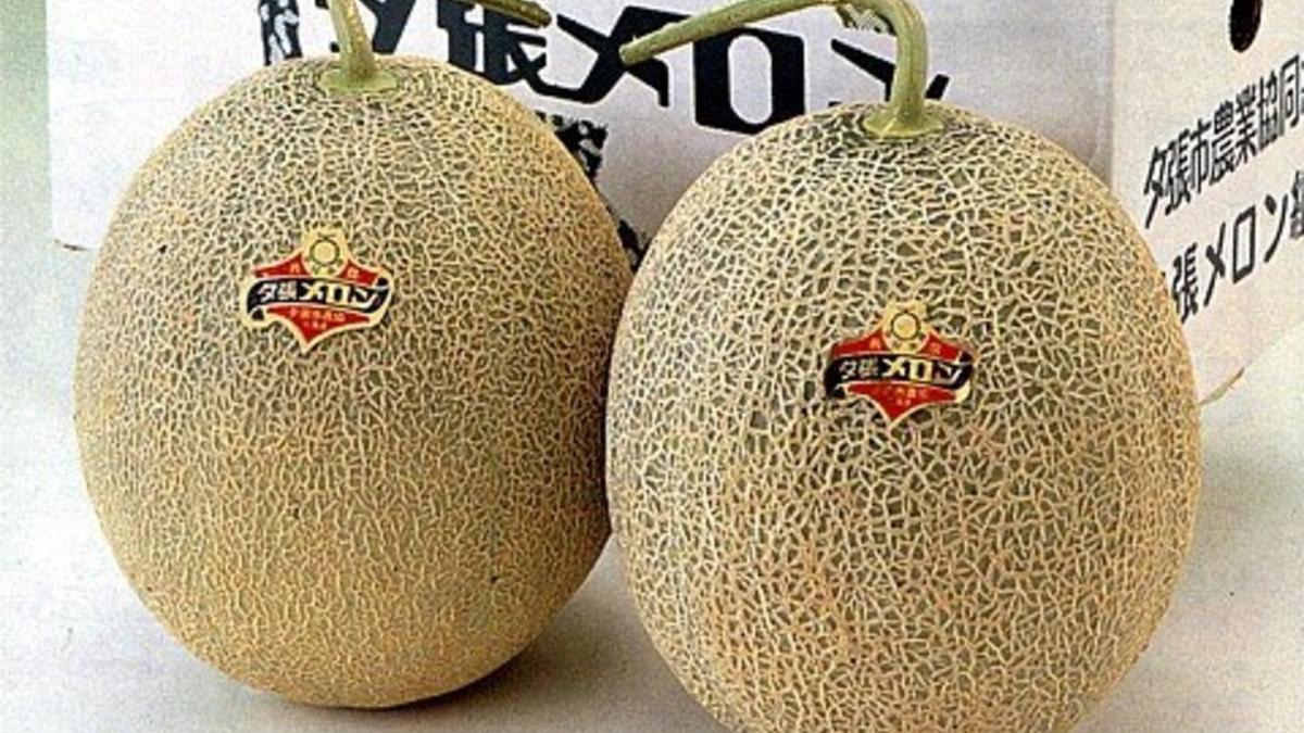 Melón