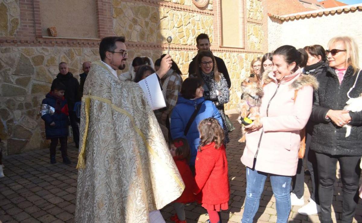 Las mascotas celebran San Antón