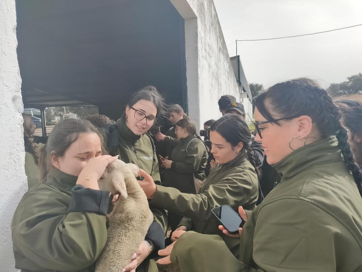 Varias alumnas, con un borrego.