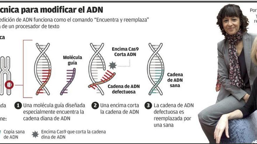 EE UU logra el primer éxito del &quot;copia y pega genético&quot; para evitar enfermedades