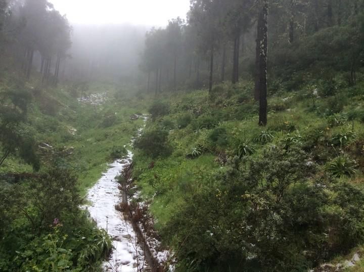 Así nevó en 2016 en la cumbre de Gran Canaria.