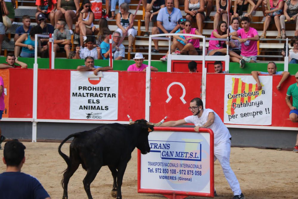 Vidreres celebra els correbous entre les protestes dels animalistes