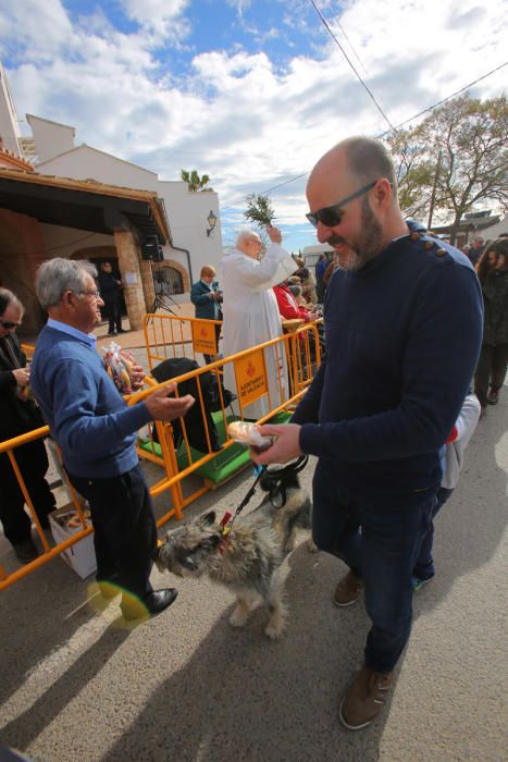 Benidición de animales en la Ermita de Vera y en la Punta