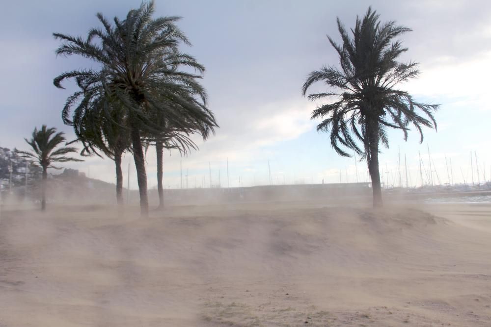 5a edició dels Premis Ferran Pou de Meteorologia