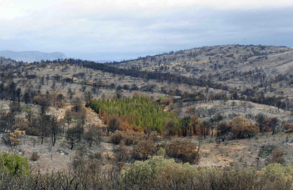 Andilla: ocho años desde su gran incendio